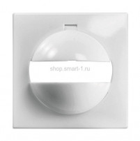 Накладка-рамка ESYLUX IP20-BS1 цвет белый Esylux