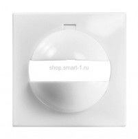 Накладка-рамка ESYLUX IP20-BS1 цвет полярная Esylux